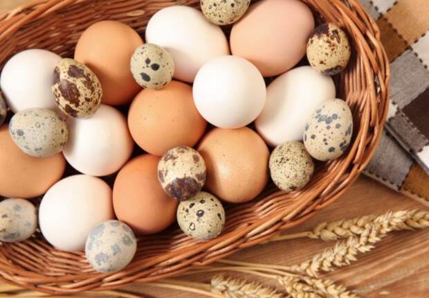 Яйца лучше всего снижают аппетит и считаются одним из полезнейших завтраков / Фото: s1.1zoom.ru