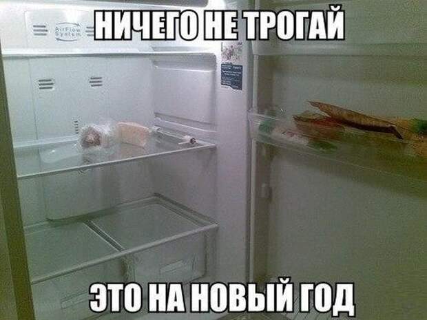 Картинки со смешными подписями