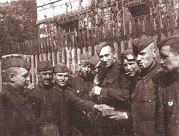 Фронтовые фотографии Алексея Макаровича Смирнова Фронтовые фотографии Алексея Макаровича Смирнова