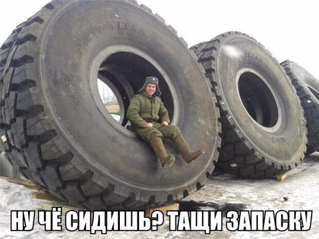 Смешные картинки с надписями прикол, юмор