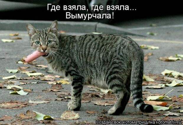 Мысли вслух :)