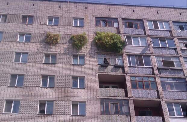Эти люди определенно не хотят жить в квратире