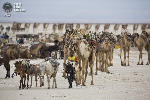 Mining the salt of the earth