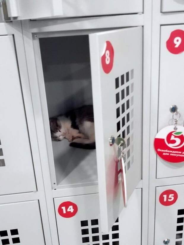 Прикольные картинки прикол, смех, юмор