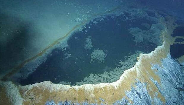 У берегов США нашли подводное «озеро смерти»