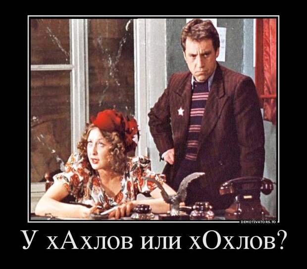 269f4e5b0db7.jpg