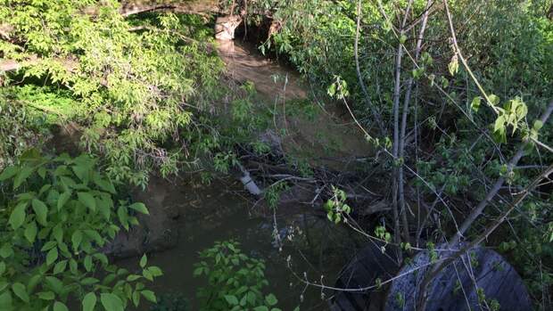 Нижегородское минэкологии не обнаружило загрязнения в Кудьме
