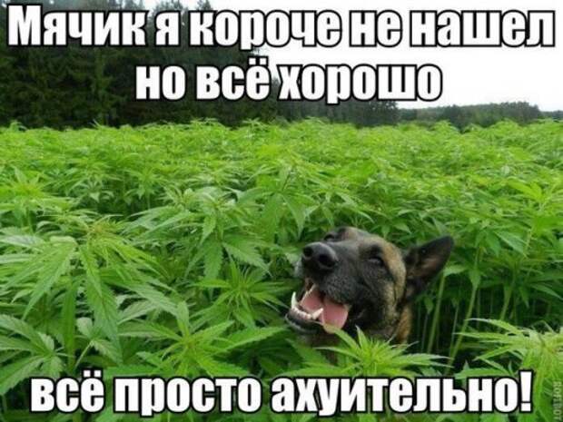 Новые прикольные фотомемы (30 шт)