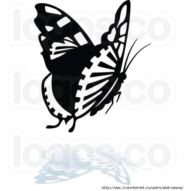 1376392419_103917066_large_royaltyfreebutterflywithareflectionlogobydero2891 (600x620, 97Kb)