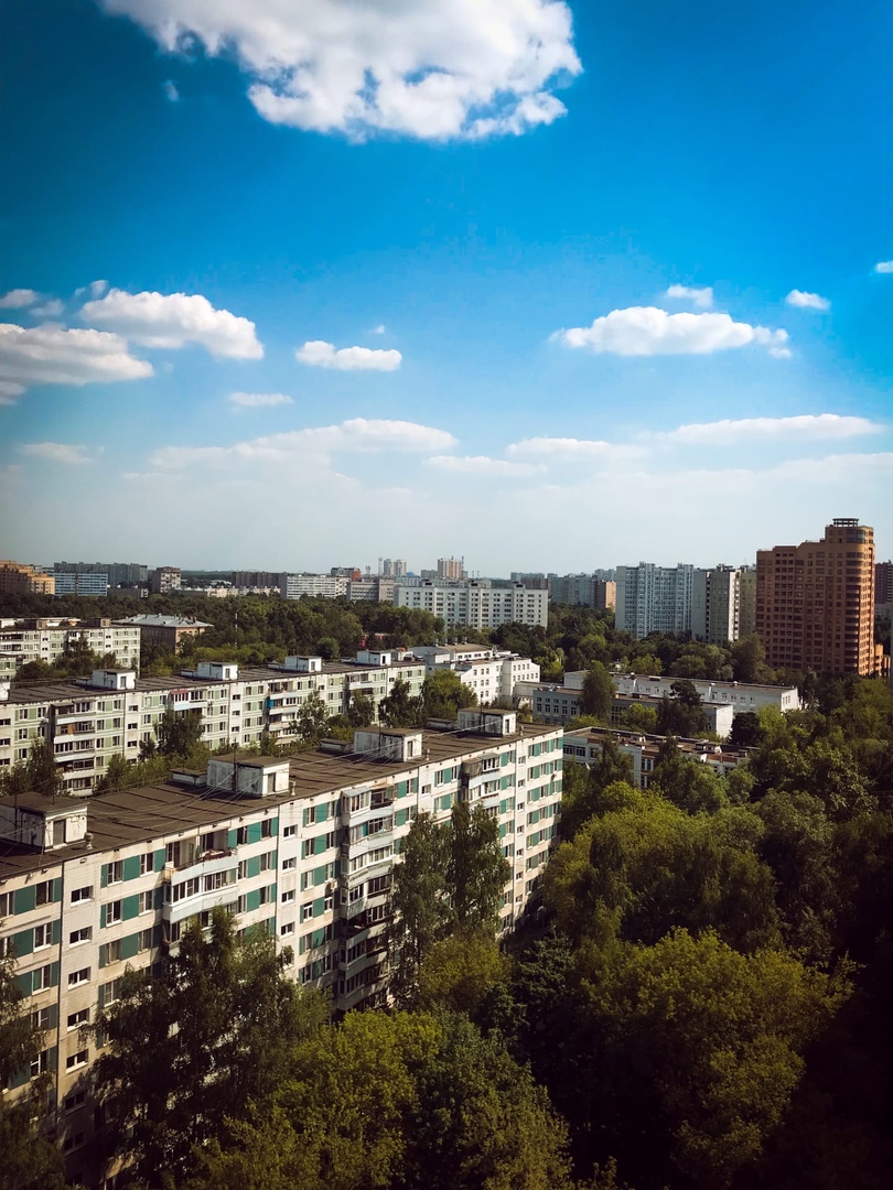 Фото дня: Лосинка с высоты птичьего полёта