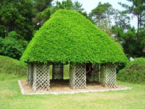 домик из деревьев
