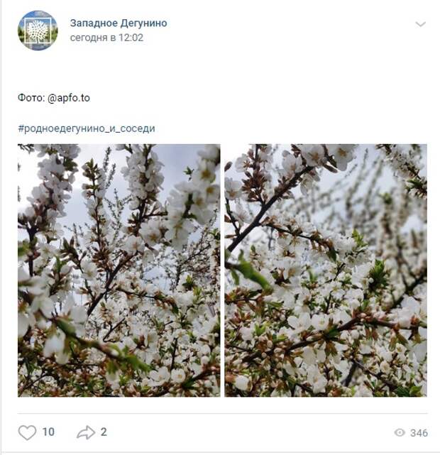 Фото дня: весна на Ангарских