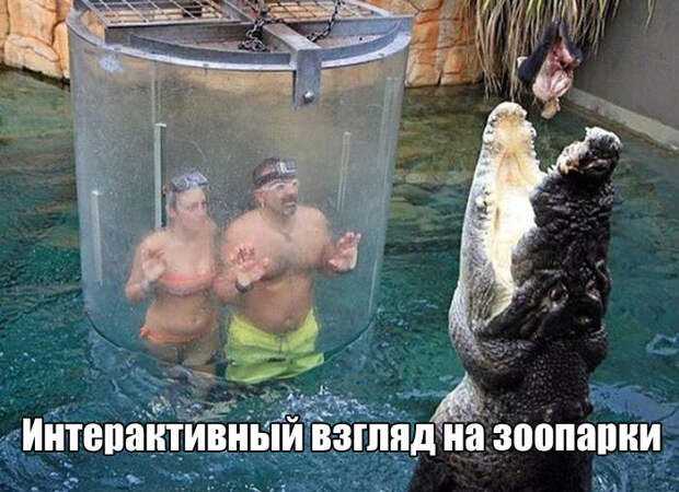 Забавные картинки с надписью для позитива (11 фото) Забавные картинки с надписью для позитива (11 фото)