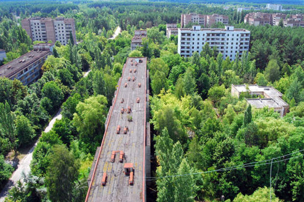 20 примеров, где природа победила цивилизацию
