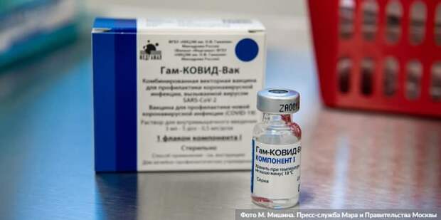 Собянин значительно расширил список категорий для вакцинации от коронавируса Фото: М. Мишин mos.ru