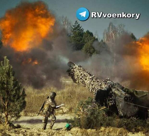 Ближайшие недели будут решающими для украинского наступления — Bild | Русская весна
