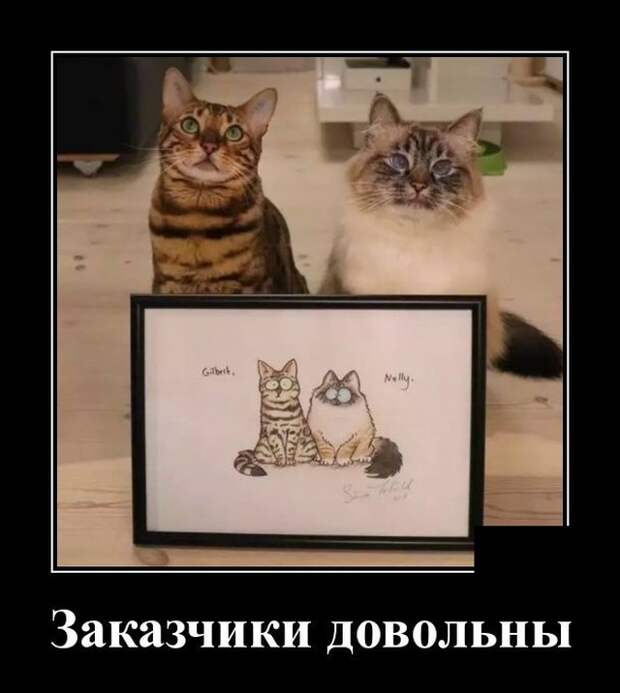 Демотиваторы 09.12.2020