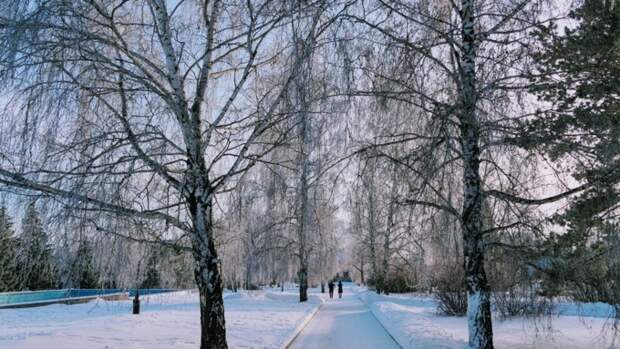 Барнаул зимой / Фото: amic.ru