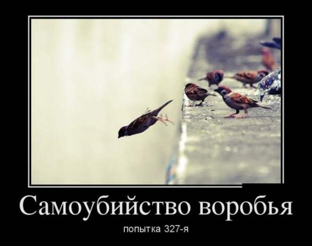 Обо всём.