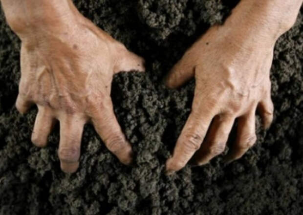 Украинские олигархи заводят в облсоветы своих людей: местные парламенты наделены правом распоряжаться землей