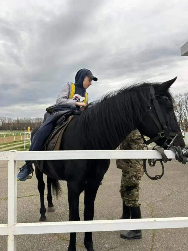 «Сила и грация конного мира»: как лошади помогают особенным детям