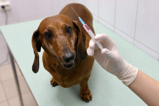 Кирилл Зыков/Агентство 