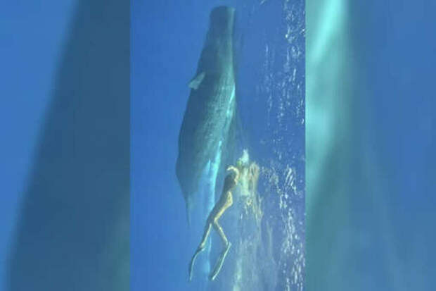 «Он мог случайно поглотить меня»: Мария Погребняк рассказала, как чудом избежала опасности в океане