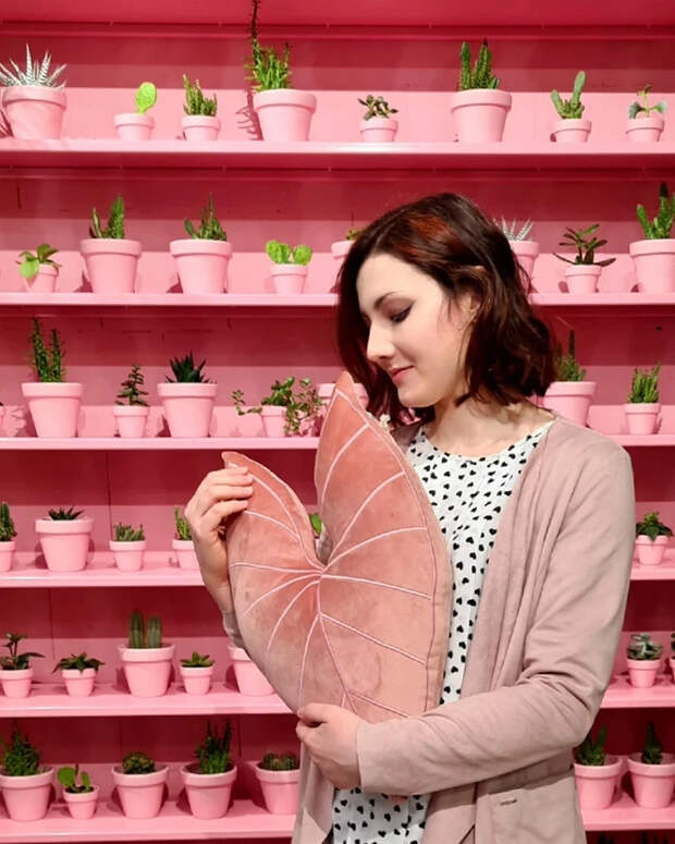 Гигантские листья растений, которые можно обнять: швейный блог недели