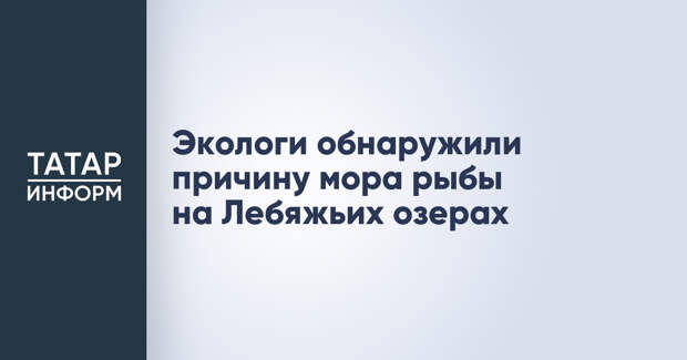 Экологи обнаружили причину мора рыбы на Лебяжьих озерах