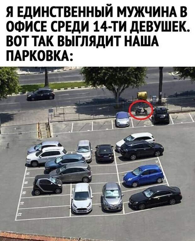 Парковка Парковка