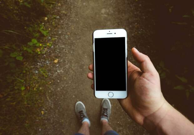 Глава «ЛизаАлерт» заявил о невозможности поиска Усольцевых по телефону