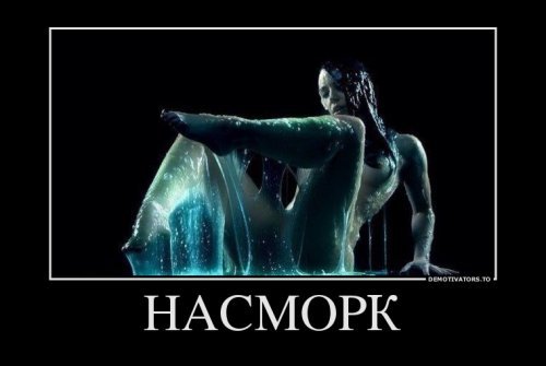 Самые клёвые демотиваторы дня