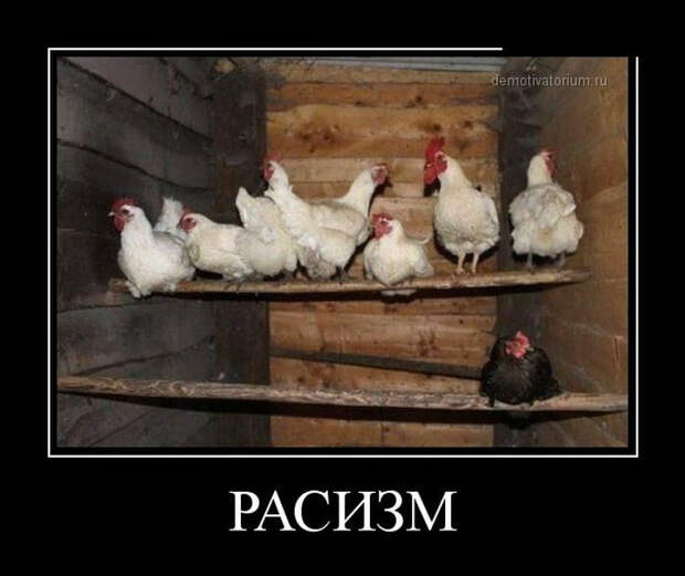 Демотиваторы и мотиваторы. Демотиваторы и веселые картинки_18-04-2013