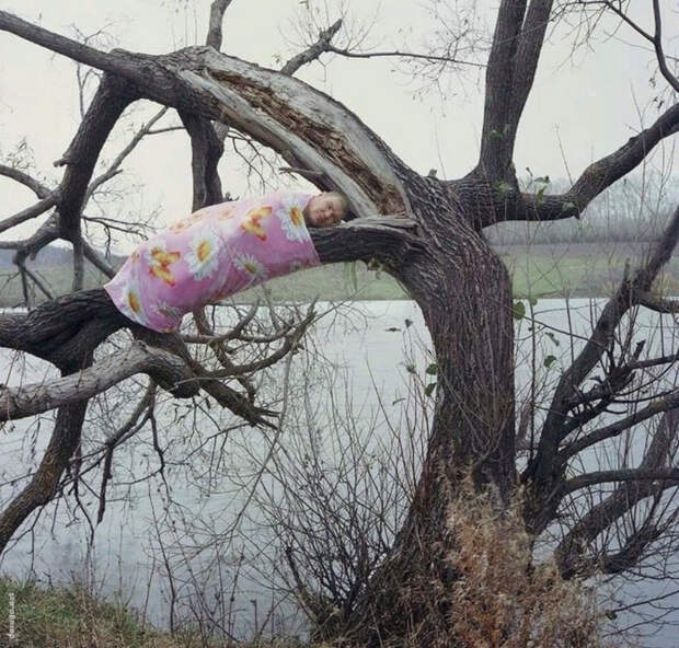 чудики из сети