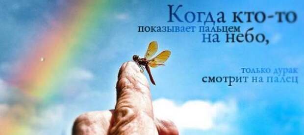 Цитатное... Цитатное...