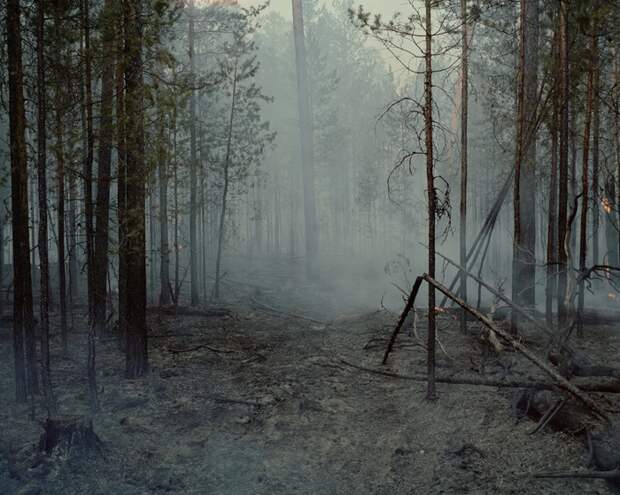 Путешествие в деревню староверов в Красноярском крае подборка фотографий, путешествие по России, старообрядцы, тайга, Интересное, длиннопост