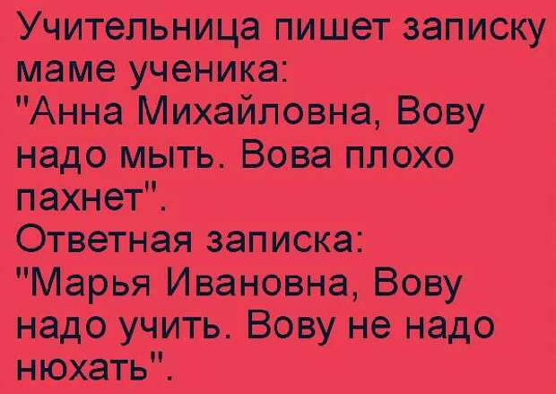 Эта подборка веселых и забавных историй подарит позитивный настрой на весь день!