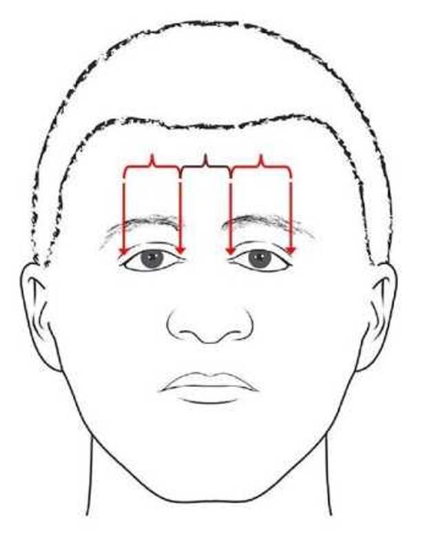 Залом между бровями физиогномика