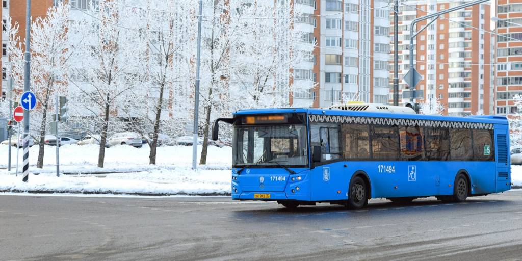 автобус 172 1.jpg
