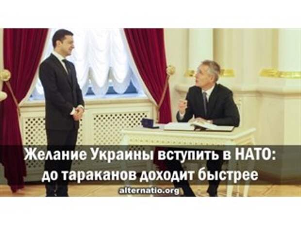 Желание Украины вступить в НАТО: до тараканов доходит быстрее