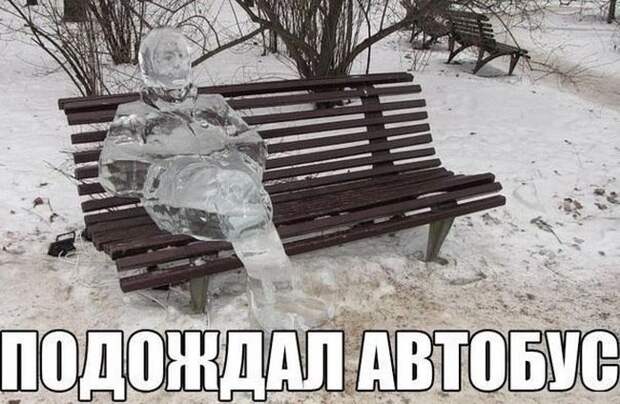 Юмор о четырех колёсах