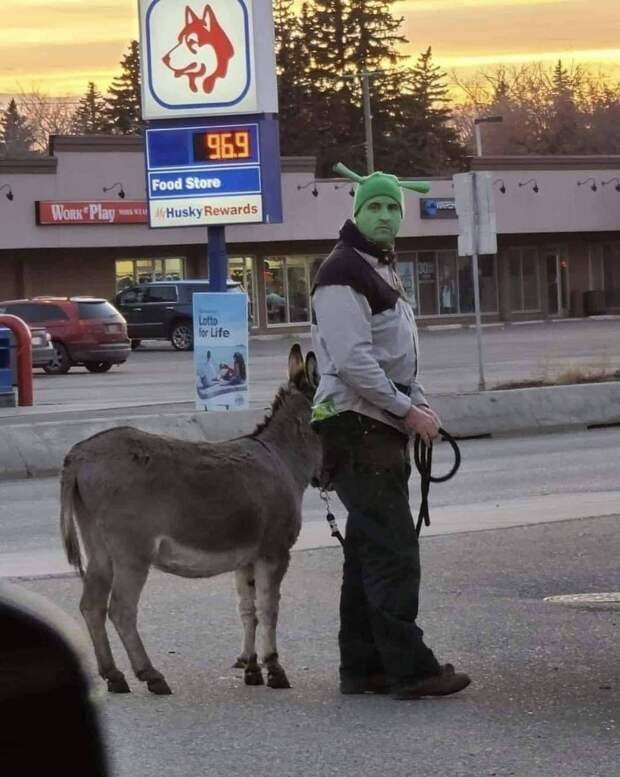 Подборка прикольных картинок