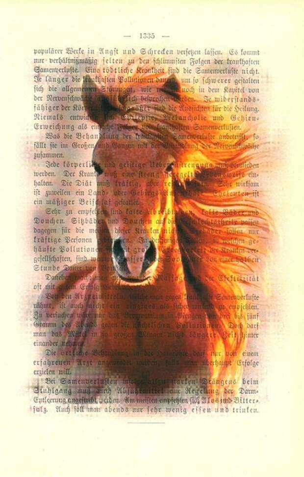 принты на книжных страницах (56) (446x700, 232Kb)