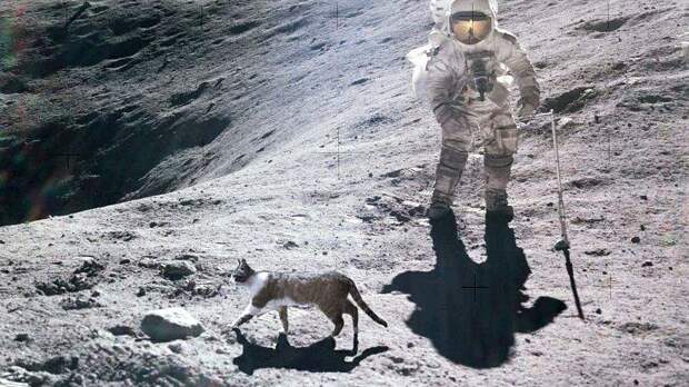 Хьюстон, у нас проблемы