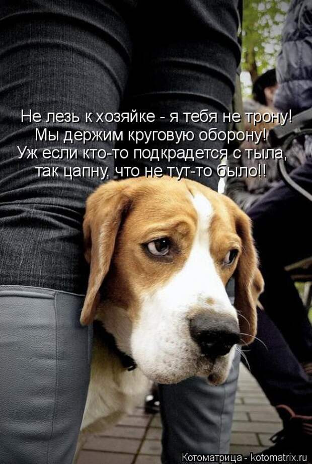 Котоматрица: Не лезь к хозяйке - я тебя не трону! Мы держим круговую оборону! Уж если кто-то подкрадется с тыла, так цапну, что не тут-то было!!