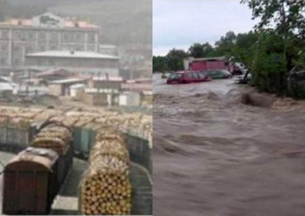 Шмыгаль не согласен: массовая вырубка лесов в Карпатах не спровоцировала наводнения Шмыгаль не согласен: массовая вырубка лесов в Карпатах не спровоцировала наводнения