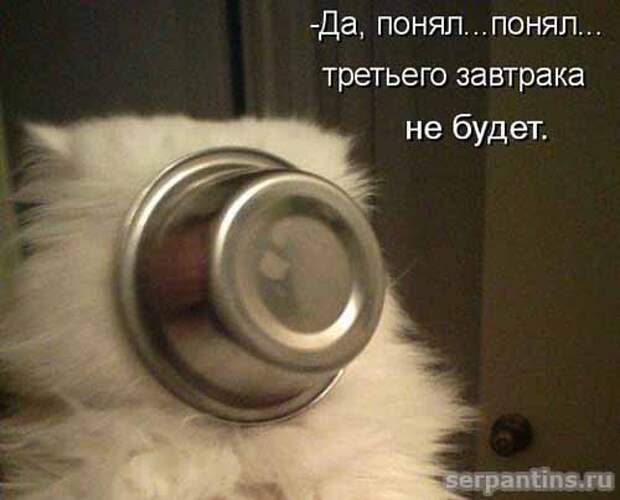 Кулинарный юмор