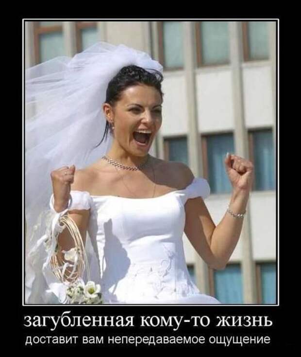 Демотиваторы