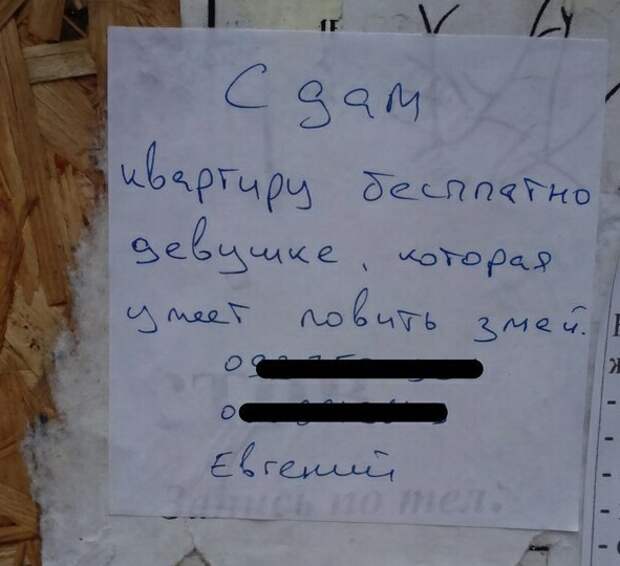 25 уморительных объявлений: так могли написать только наши люди! люди, объявление, прикол, юмор