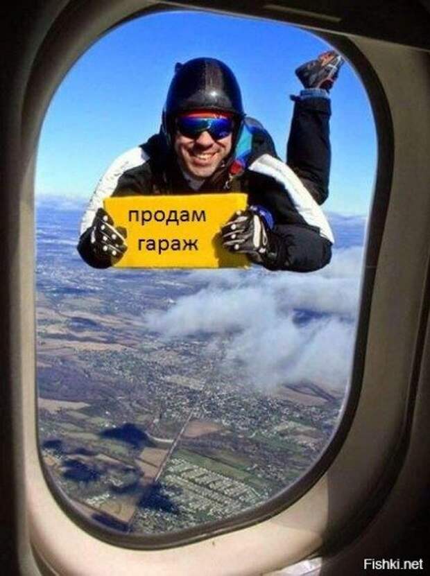 Прикольные картинки